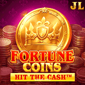 Fortune Coins Slot Game