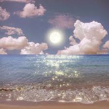 Ảnh đại diện người dùng Hoàng Sơn